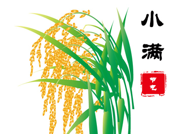 小满,满而不损。