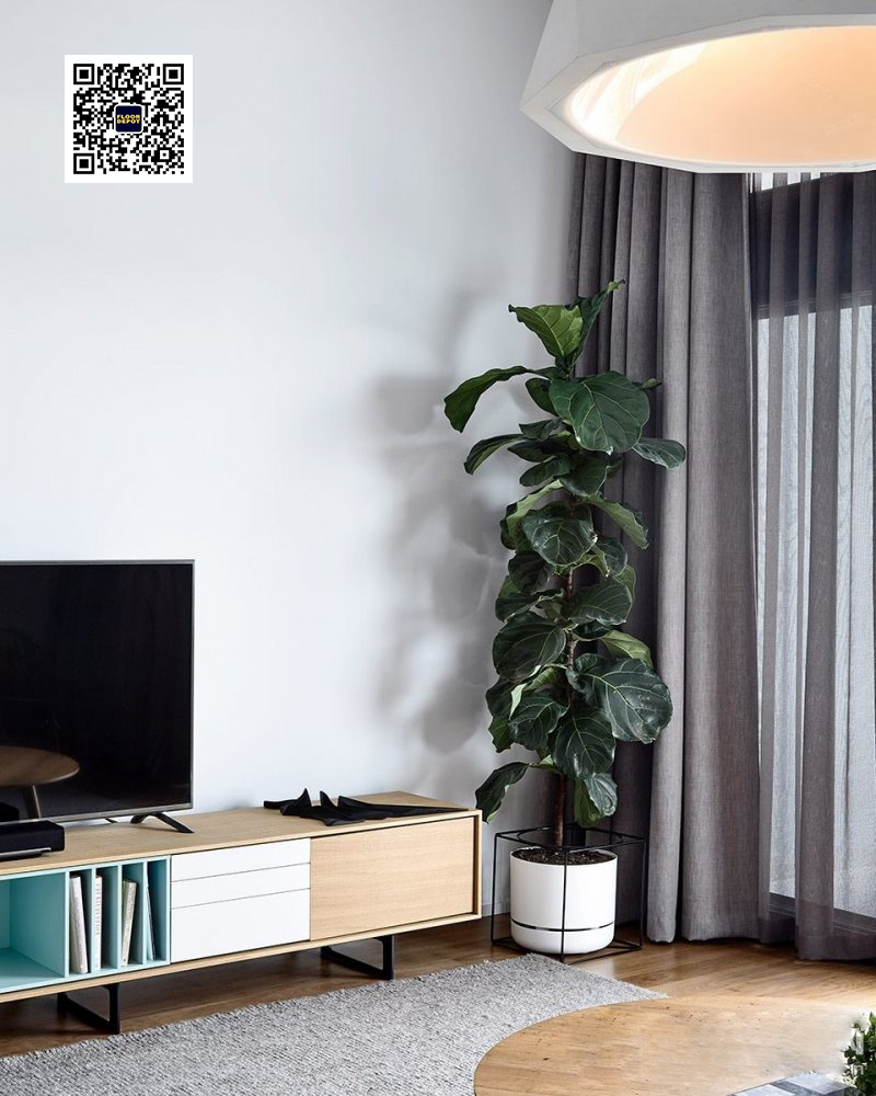 木地板颜色就该这么选，太赞了！