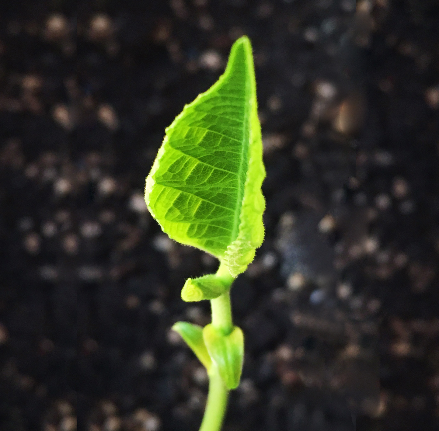 见识比知识更重要