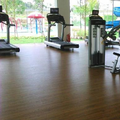 地多宝地板，正接受健身房接受“锻炼”