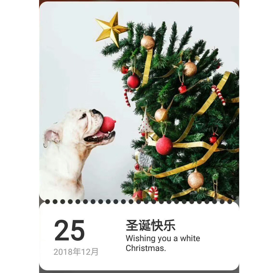 圣诞节来到，地多宝祝：圣诞快乐！