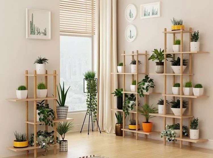 2019财运滚滚来.jpg 2019财运滚滚来.jpg